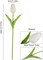 20PCS Tulips Artificial Flowers Faux Silk Tulip Stems Fake Flowers Bouquets for Vase Wedding Home Decoration White